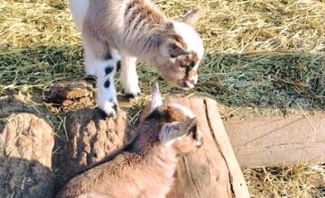 FOTO: Bošácka dolina ako živé múzeum pod holým nebom
