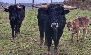 FOTO: Bošácka dolina ako živé múzeum pod holým nebom