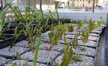 FOTO: Nové vodné plochy na Hviezdoslavovej ulici