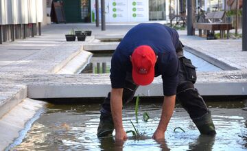 FOTO: Nové vodné plochy na Hviezdoslavovej ulici