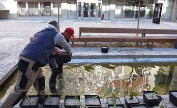 FOTO: Nové vodné plochy na Hviezdoslavovej ulici