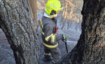 FOTO: Pri obci Prečín horí lesný porast, zasahujú tam hasiči 