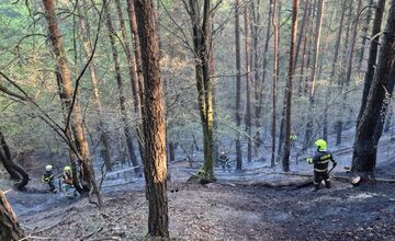 FOTO: Pri obci Prečín horí lesný porast, zasahujú tam hasiči 
